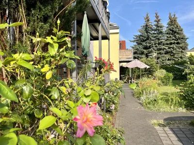 Gepflasterter Gartenweg zwischen Beeten, im Vordergrund eine rosa Blüte.